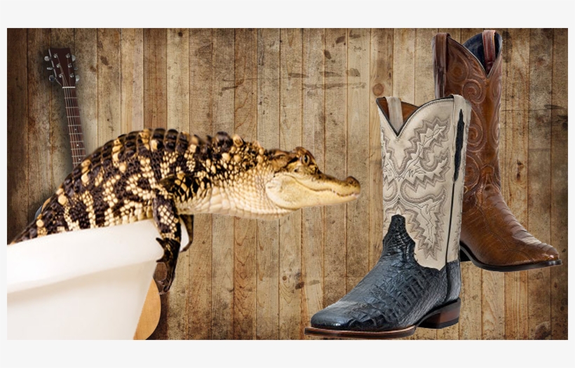 Exotic Cowboy Boots - High Resolution Rustic Wood Background, transparent png download