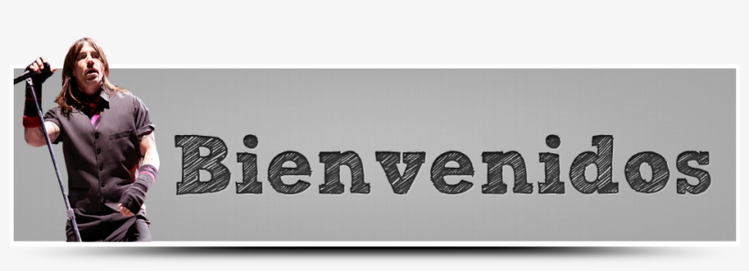 Megan Fox Tiene La Cintura De Un Niño De Ocho Años - 3 Kings, transparent png download