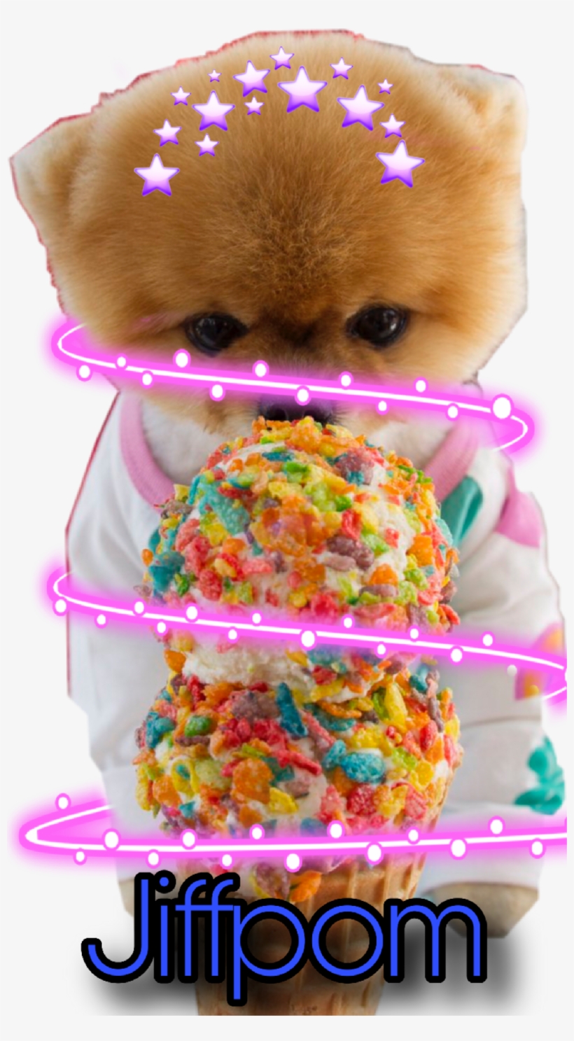 I Love Jiffpom Pomeranian Transparent Png 1024x1807 Free Download On Nicepng