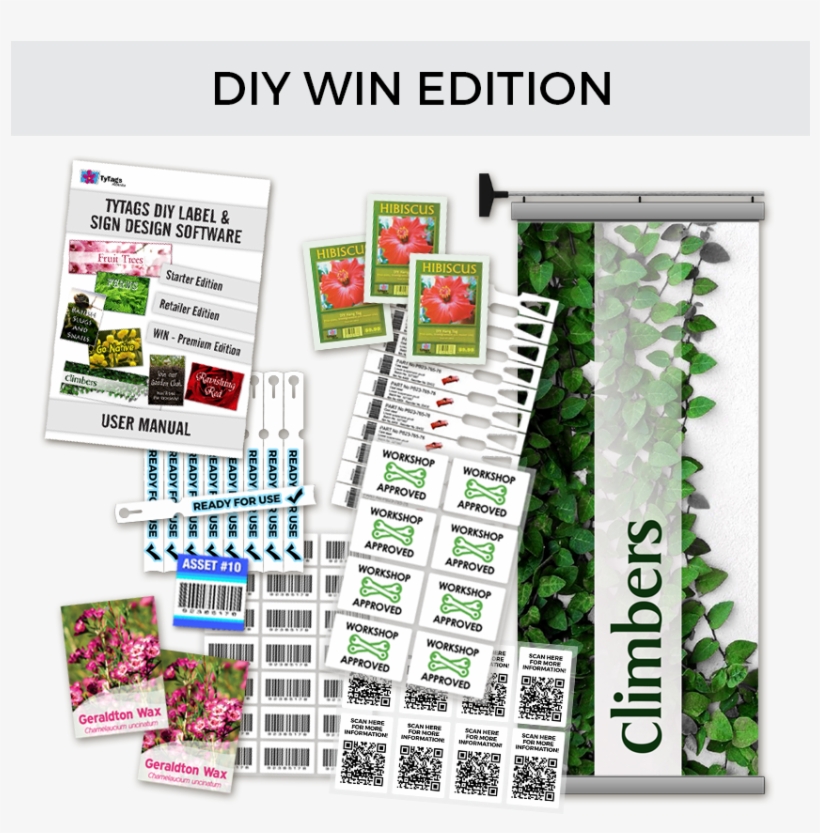 Win - Flyer, transparent png download