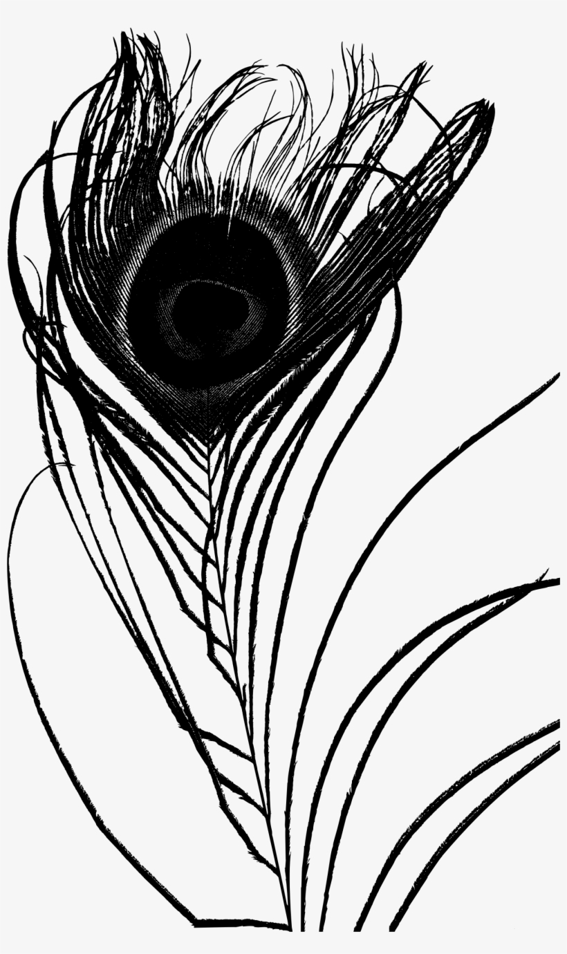 Big Image - Line Art, transparent png download