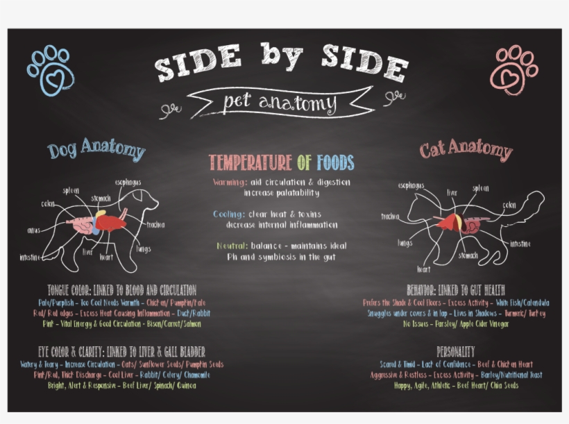 Enter Image Description Here - Blackboard, transparent png download