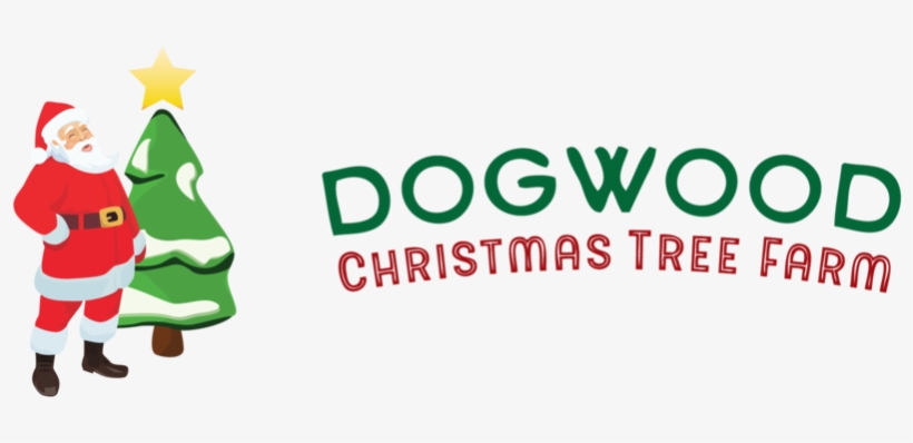 Snowy Tree Png, transparent png download