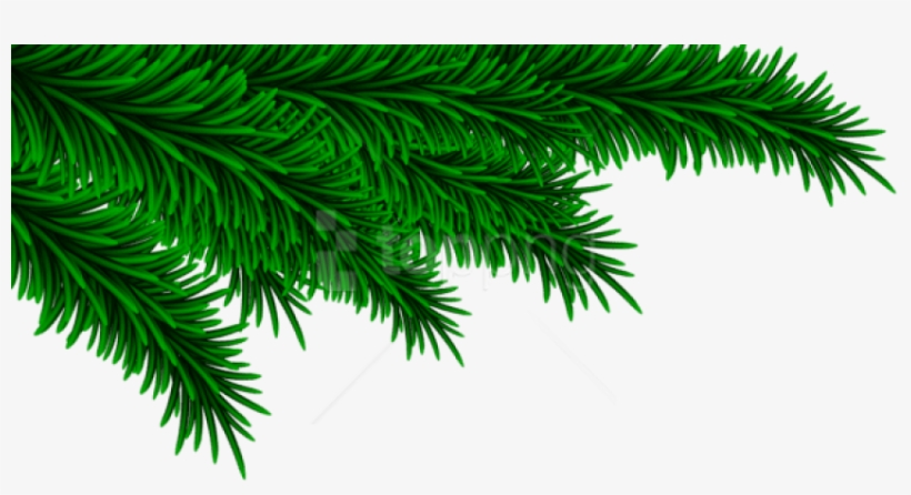 Free Png Christmas Pine Branches Decorating Png - Christmas Pine Branch Png, transparent png download