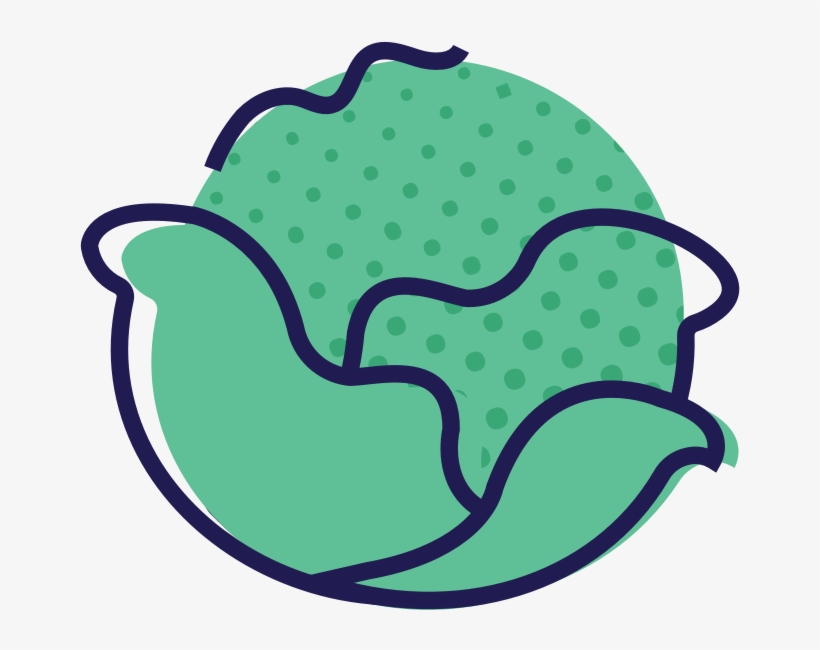 Cabbage, transparent png download