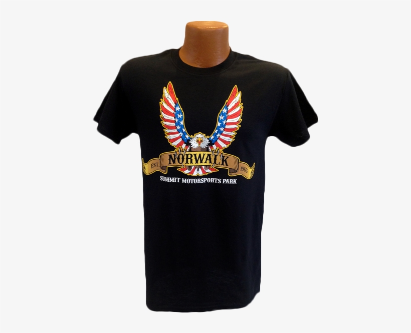 Eagle Flag Tee Black - Epistori Fox, transparent png download