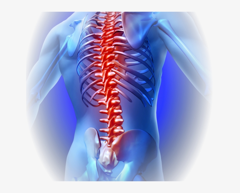 Joint Pain - Back Bone Pain Png, transparent png download