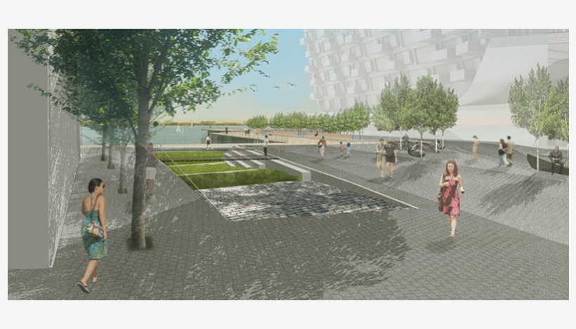 Wetland Cut Perspective 800x600 - Tree, transparent png download