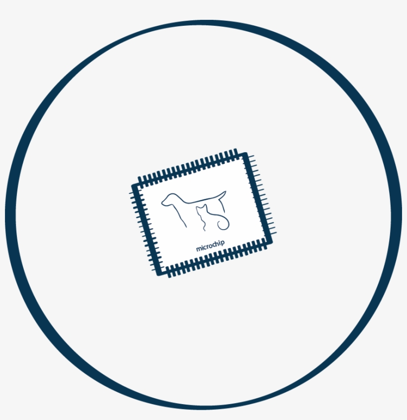 Department Of Homeland Security, transparent png download