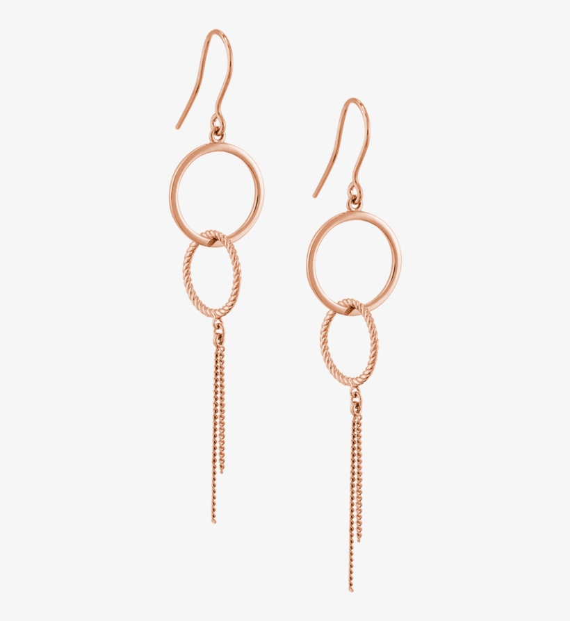 Double Loop Earrings Image - Earrings, transparent png download