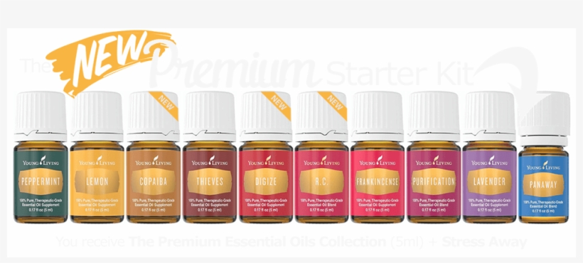 The New Young Living Essential Oil Premium Starter - Transparent Premium Starter Kit Oils, transparent png download