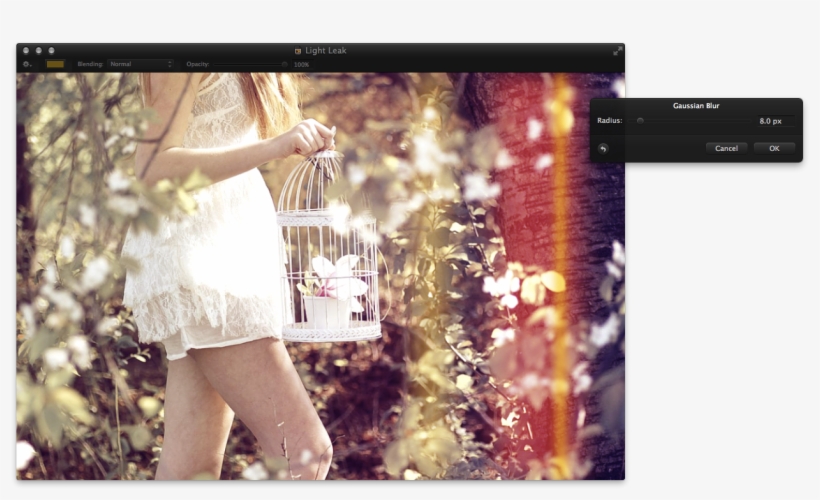 Step - Van A Ser Tios Otra Vez, transparent png download