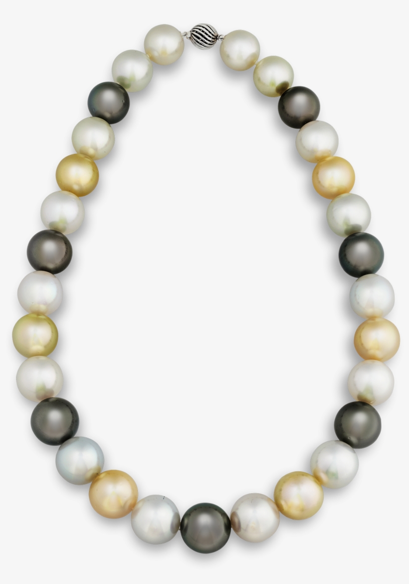 Multi-color South Sea Pearl Necklace - South Sea Pearl, transparent png download