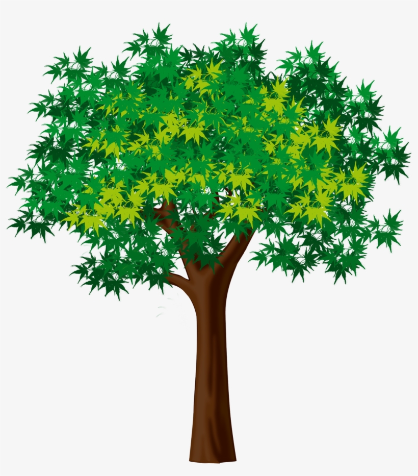 Дерево Клипарт, transparent png download
