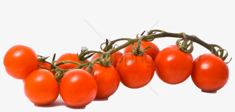 Free Png Tomato Png Image With Transparent Background - Plum Tomato, transparent png download