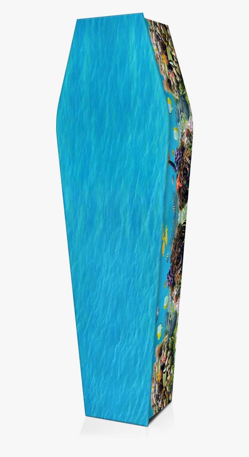 Expression Cofins - Box, transparent png download