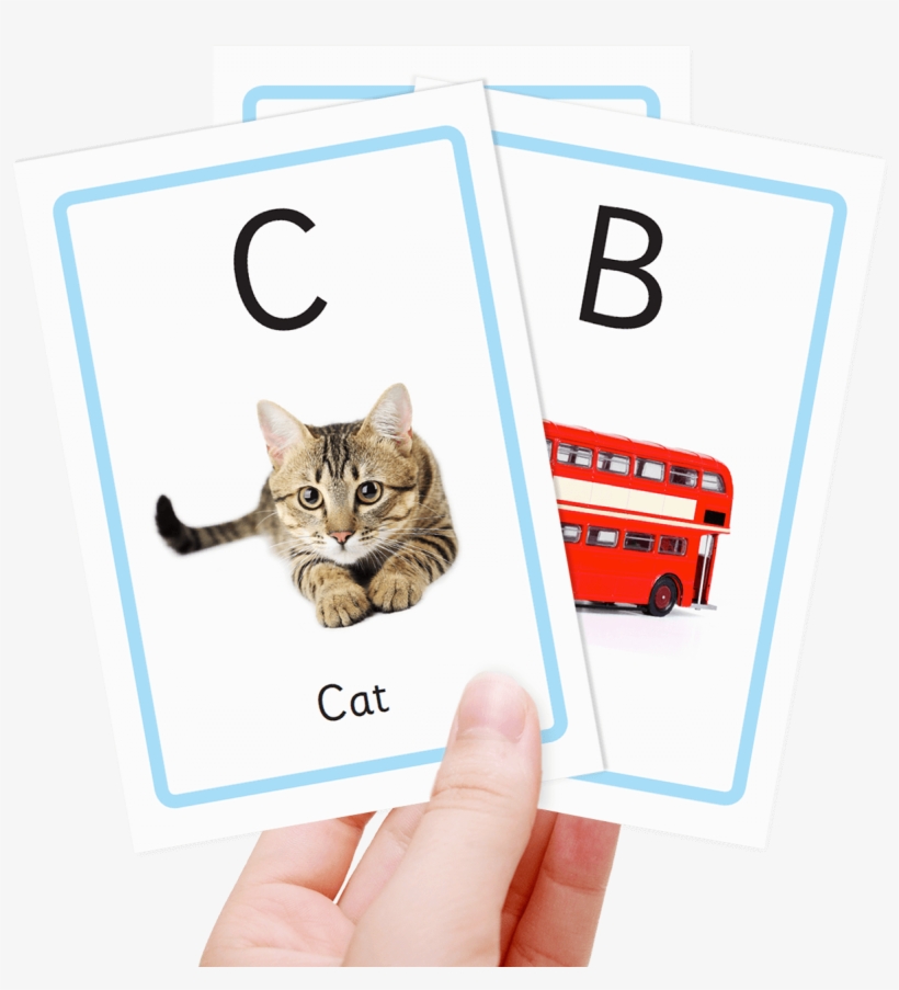 Free Alphabet Flash Cards - Flash Card For Kids Numbers, transparent png download