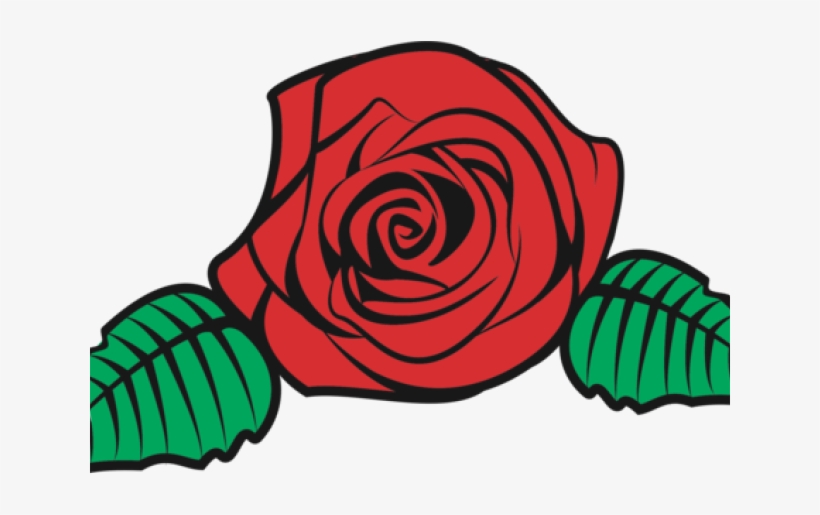 640 X 480 2 - Rose Flower Vector Png, transparent png download
