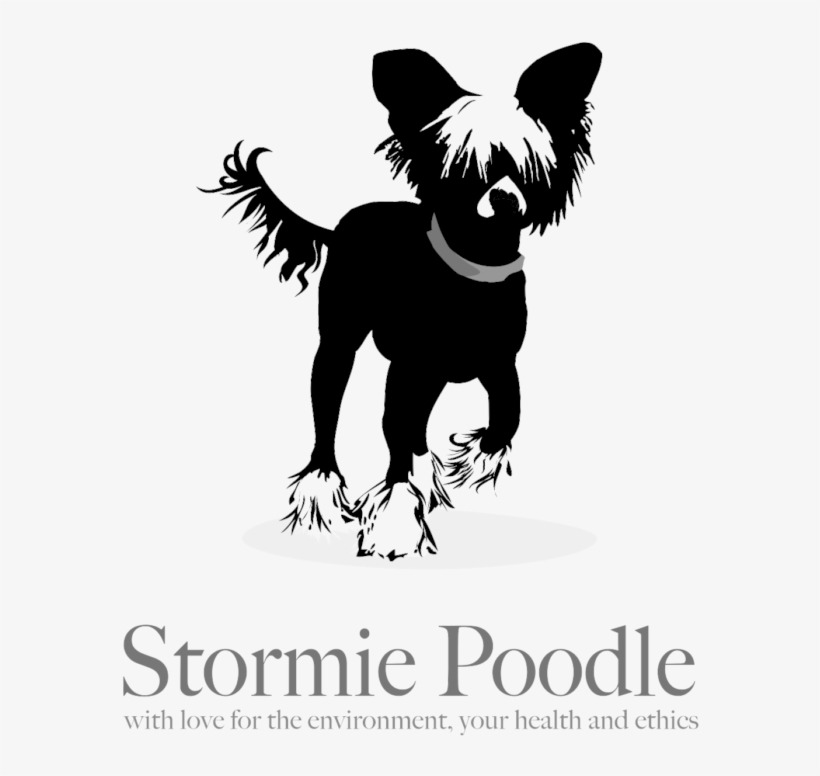 Stormie Poodle - Chinese Crested Dog, transparent png download