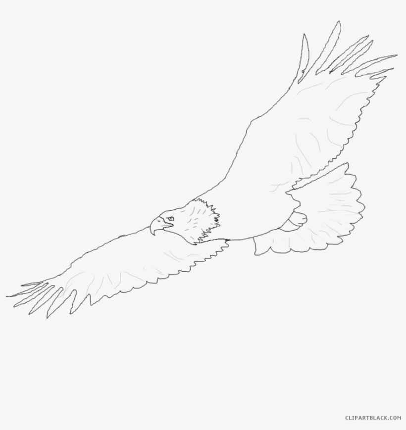 894 X 894 3 0 - Sketch, transparent png download