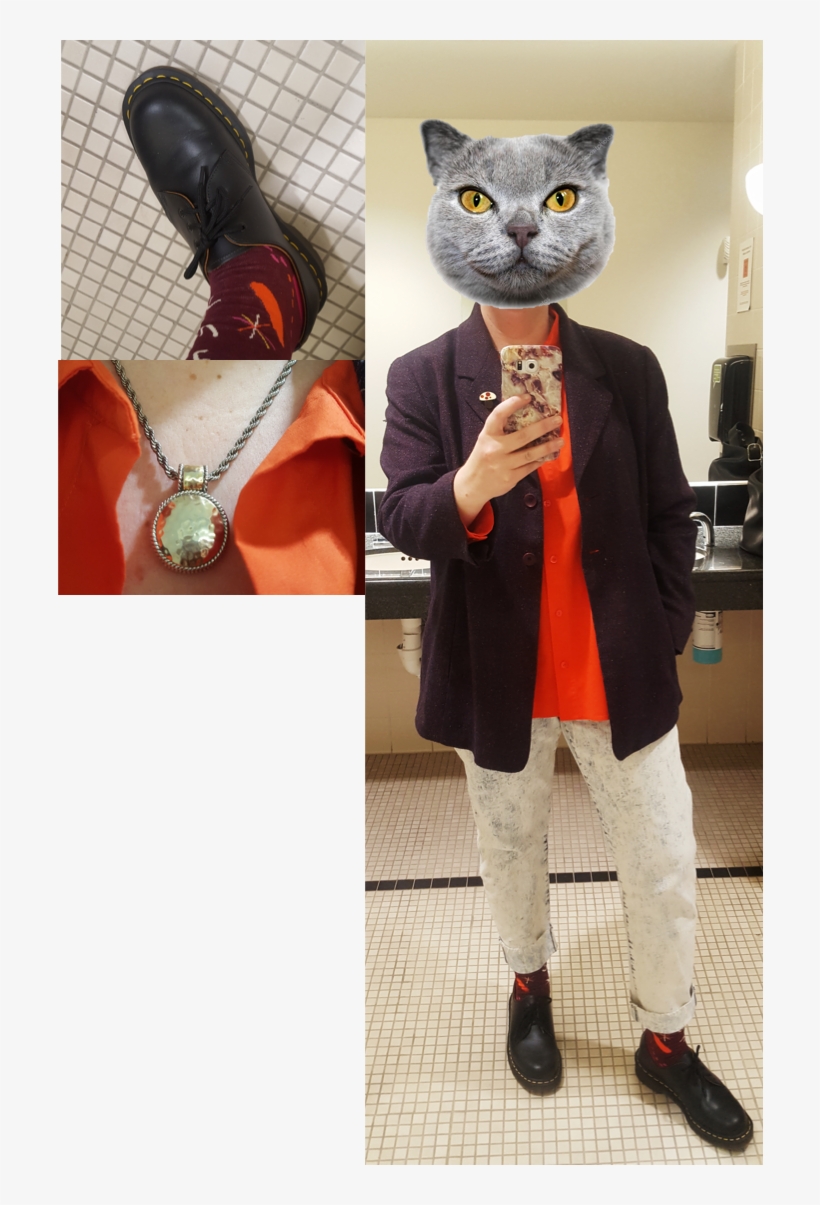 Come - British Shorthair, transparent png download