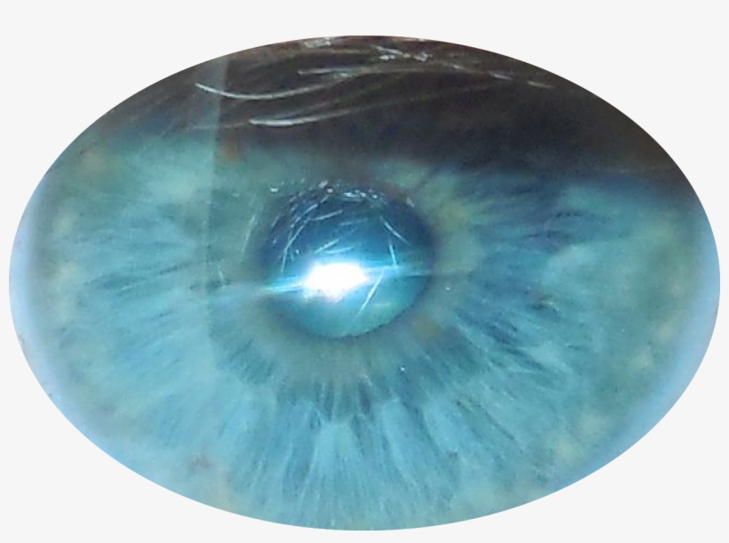 When I Was Thirty Something Here Is The Original Picture - Circle, transparent png download