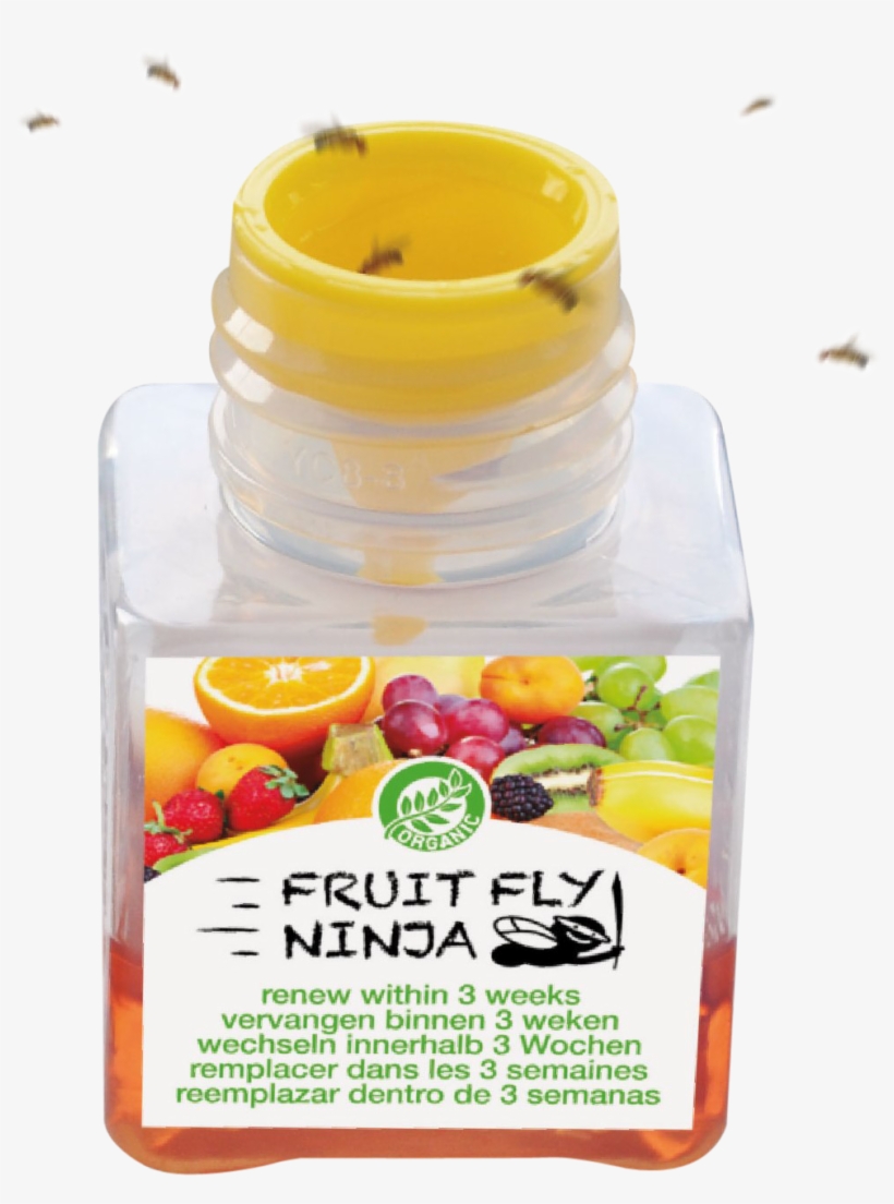 Reviews - Fruit Fly Ninja, transparent png download