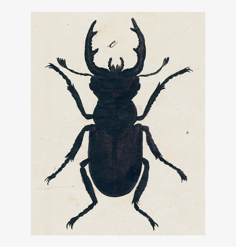 Art, transparent png download