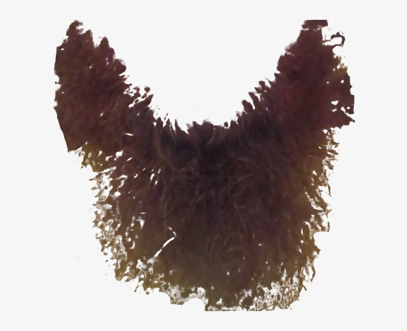 Beard Transparency Photo Beardtransparency Zps6941fdf0 - Bird, transparent png download