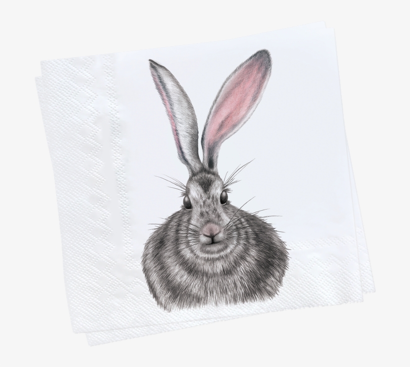 Charlotte Nicolin Paper Napkins Swedish Reproduction - Charlotte Nicolin Henrietta Tray Round, transparent png download