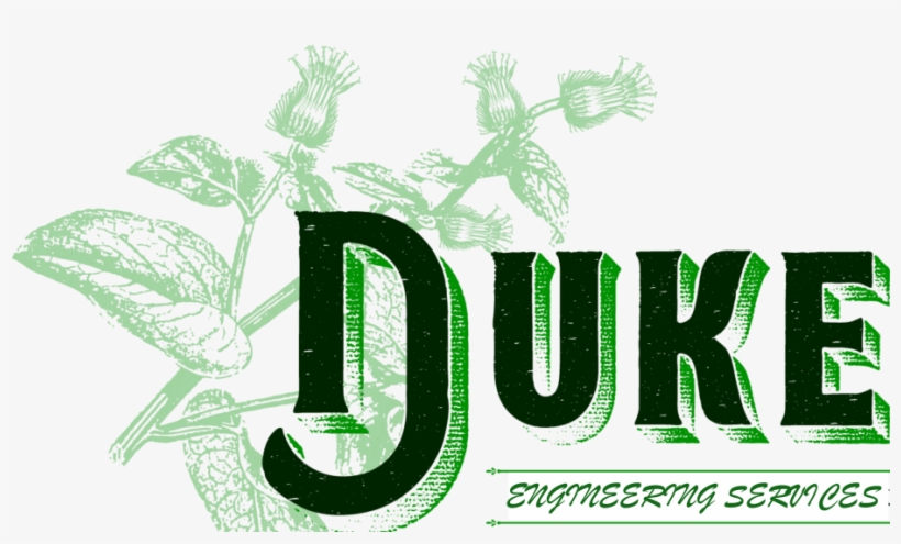 Duke Engineering Services - Graphic Design, transparent png download