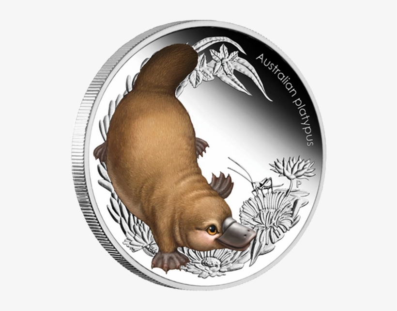 Australia 2013 50 Cents Platypus Australian Bush Babies - Platypus, transparent png download