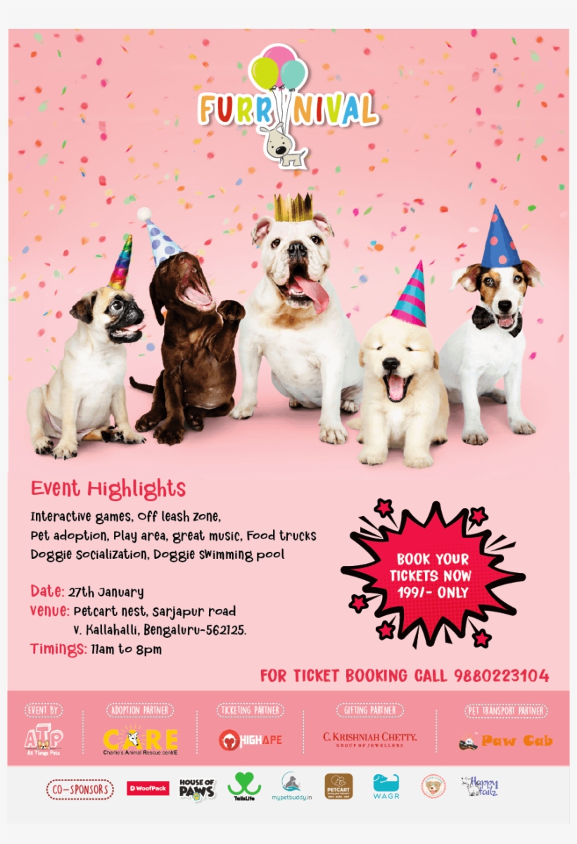 Presenting ' The Urban Dog Furrnival ' A Party For - Puppies Celebrating, transparent png download