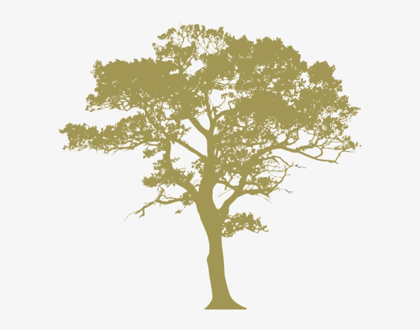 Oak Leaf Png - Tree Silhouette, transparent png download