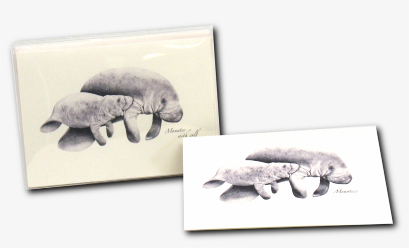 Shopping Cart -  -  - African Elephant, transparent png download