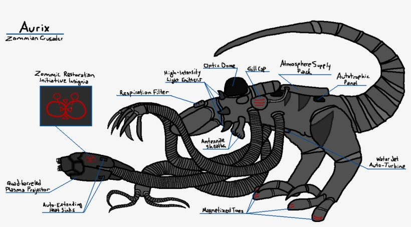 Zommian Crusader Diagram - Cartoon, transparent png download