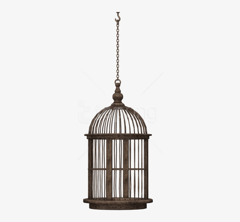 Free Png Download Bird Cage Png Images Background Png - Bird In Cage Png, transparent png download