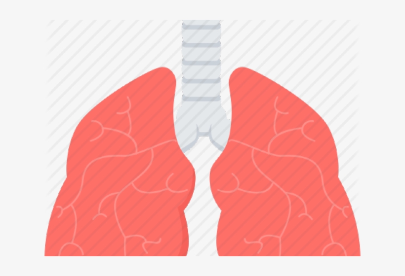 Illustration, transparent png download