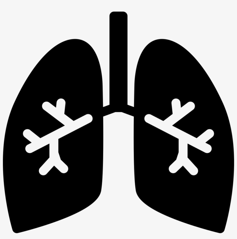 Download Picture Download Lungs With Svg Png Icon Free Download Bronchi Icon Png Transparent Png 980x942 Free Download On Nicepng PSD Mockup Templates