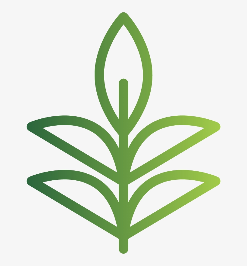 Leaf, transparent png download