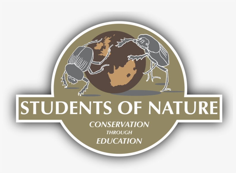 Cropped Son Logo Large W Shadow - Graphic Design, transparent png download