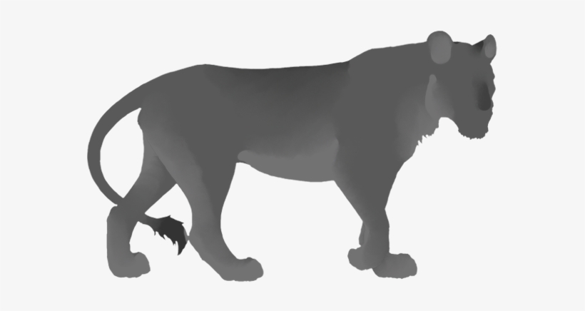 Tags - Lioness Png, - Lioden Ear Tufts Onyx, transparent png download