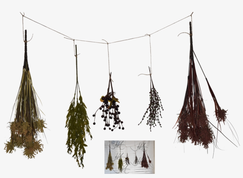 Herbs Png - Dried Herbs 3d Model Free, transparent png download