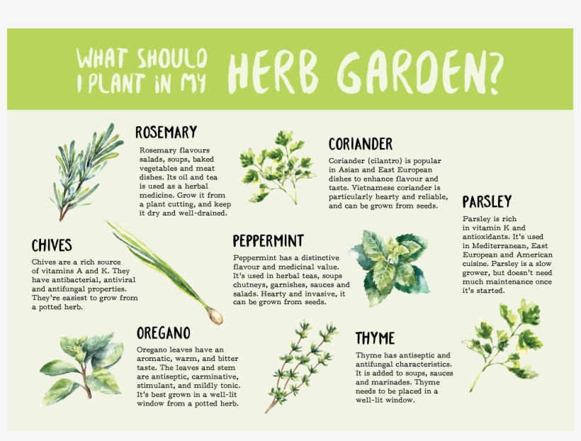 2802 X 1990 5 - Floral Design, transparent png download