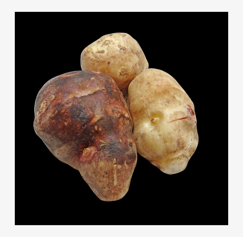 In Addition, Alcoholic Drinks Such As Wine, Beer, And - Jerusalem Artichoke, transparent png download