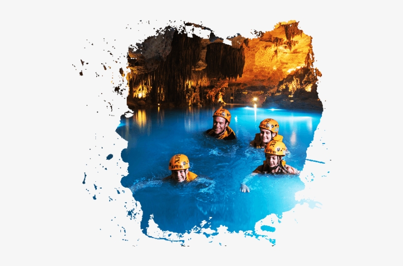 Explore The Jungle And Rivers - Reflection, transparent png download