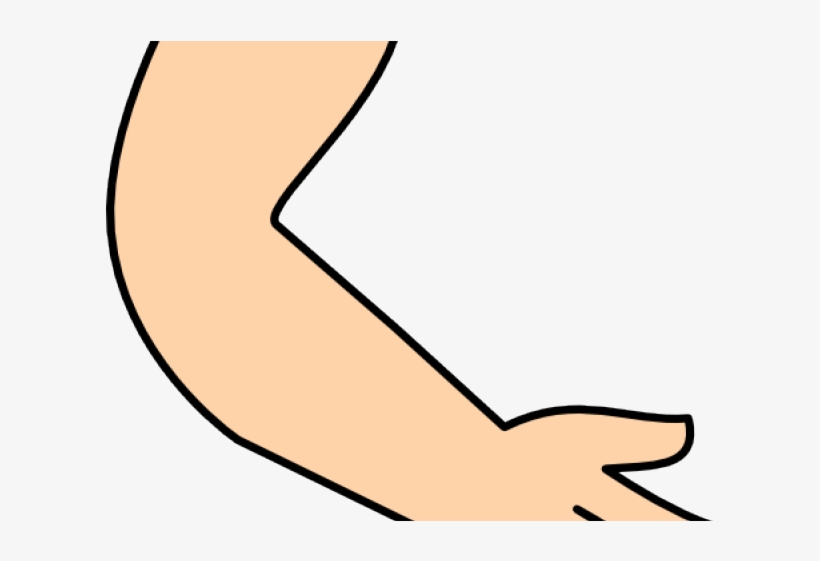 Arms Cliparts, transparent png download