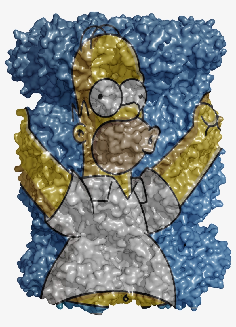 Homer Wraped On A Ray-traced Model Of 20s Proteasome, transparent png download