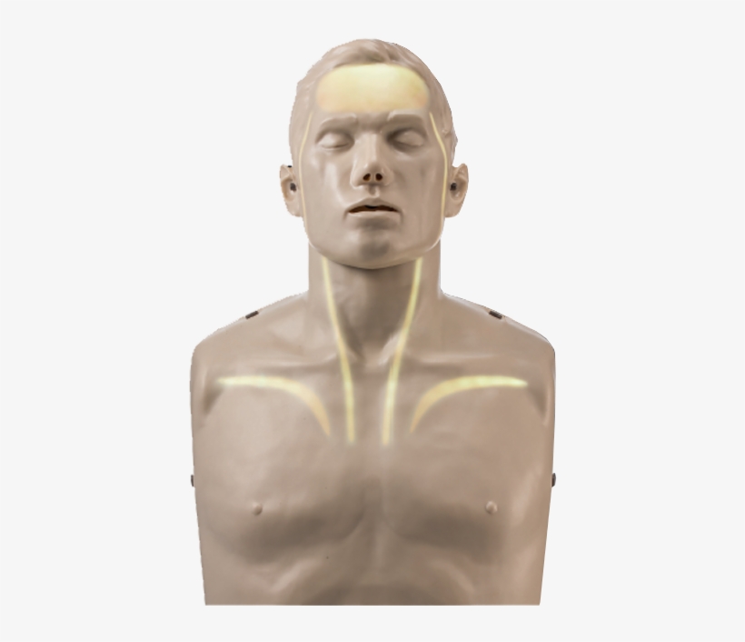 Fantom Brayden Led Red Rko/bls - Cardiopulmonary Resuscitation, transparent png download