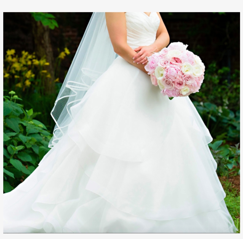 Paloma Blanca Ca05313, 0 Size - Bride, transparent png download